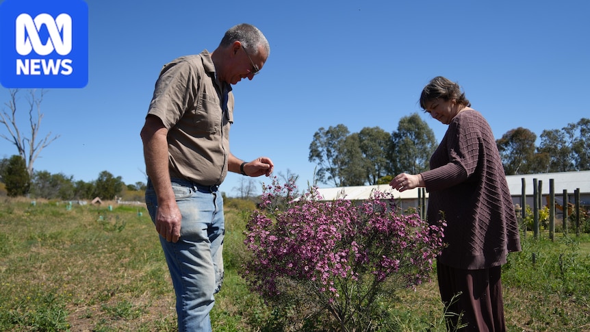 From vines to vegetation, property becomes safe haven for an endangered bird species