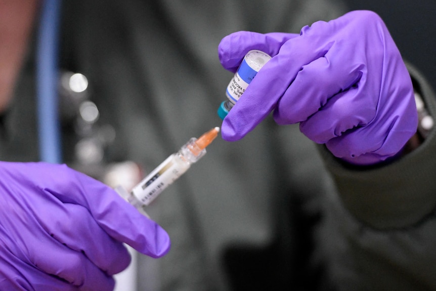 Gloved hands prepare a needle for vaccination.