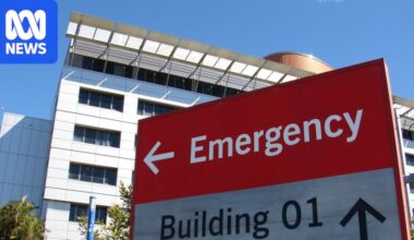 Woman badly injured in alleged attack at Princess Alexandra Hospital emergency department