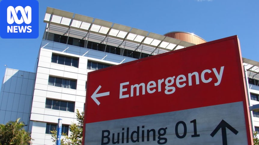 Woman badly injured in alleged attack at Princess Alexandra Hospital emergency department
