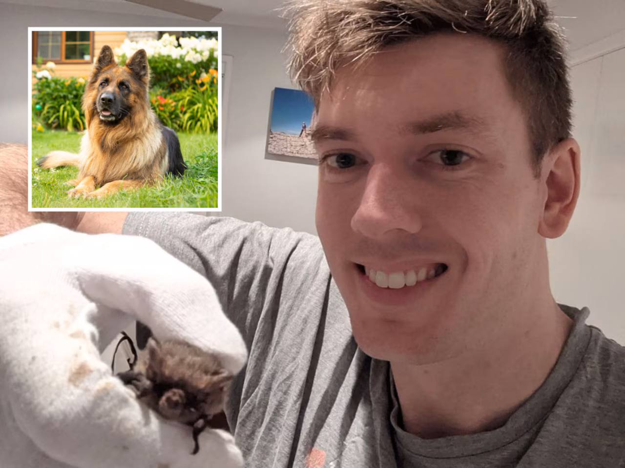 Brisbane conservation worker banned after trying to have sex with pet dog