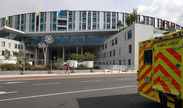 The hospital is being built by construction firm BAM and when completed it will be run by Children’s’ Health Ireland