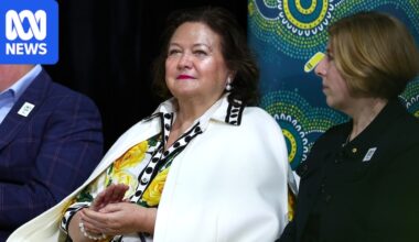 Gina Rinehart allegedly tried to help recruit Liberal MP Henry Pike to join One Nation