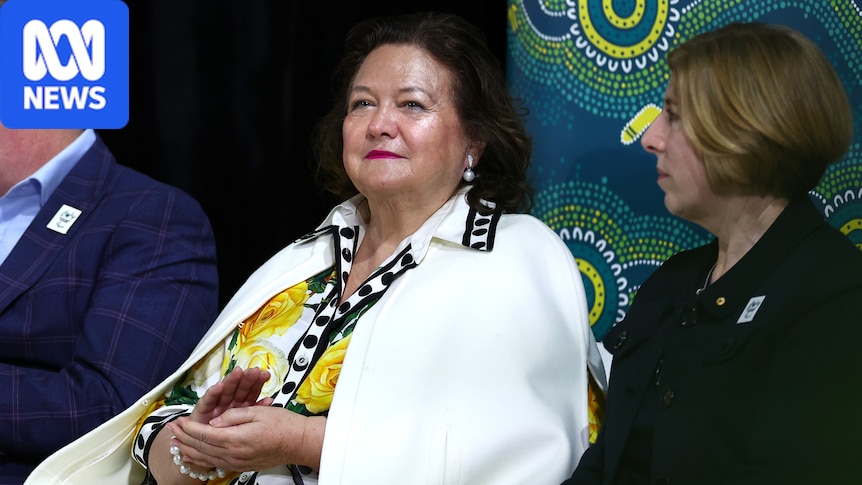 Gina Rinehart allegedly tried to help recruit Liberal MP Henry Pike to join One Nation