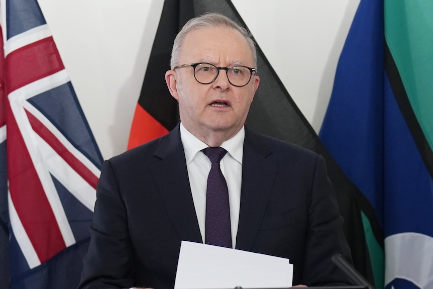 Anthony Albanese, wearing a suit and glasses, speaks with flags behind him.