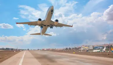 United Airlines flight forced into unscheduled landing as ‘non-compliant’ first-class passenger ‘bites’ staff