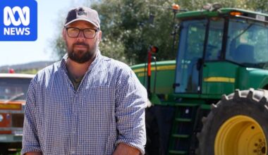 Diesel 'crack spread' filling oil refiners' coffers as Middle East conflict cuts farm margins