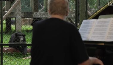 A Big Name in Rock Plays Unique Show—for Bears