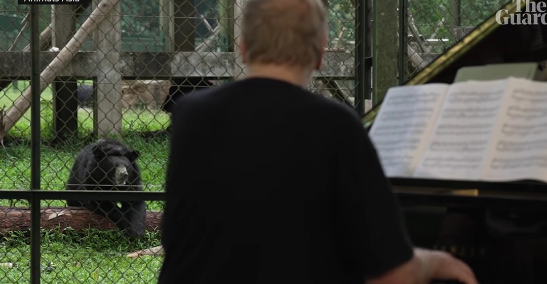 A Big Name in Rock Plays Unique Show—for Bears