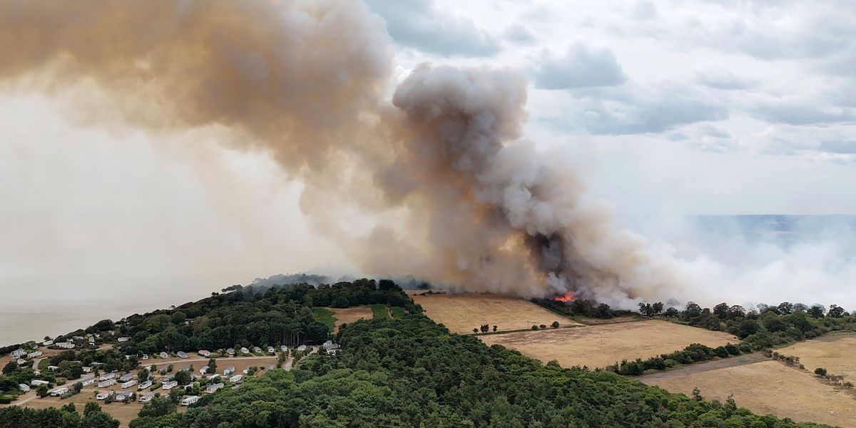 Wildfires: Britons BANNED from forests over 'risk of ignition' following summer of wildfires