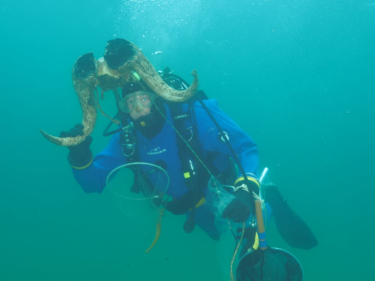 A group of Japanese researchers collected marine animals that will later become part of an Arctic exhibition in Tokyo.