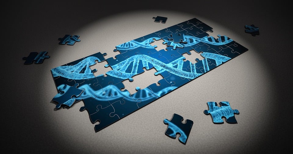 Mammalian Genes Create New MRNAs, Proteins