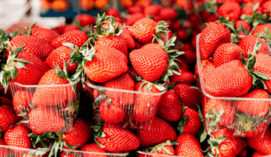 Gene-edited strawberries and vitamin D tomatoes set to be sold in Britain for first time