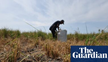 ‘Supersizing before our eyes’: UN warns of record El Niño approaching | El Niño southern oscillation