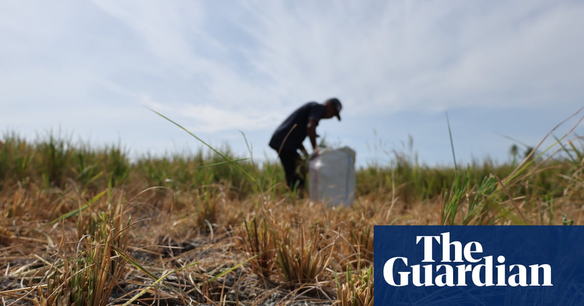 ‘Supersizing before our eyes’: UN warns of record El Niño approaching | El Niño southern oscillation