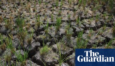 BoM forecasts strongest El Niño on record as research points to ‘alarming’ climate change influence | Australia news
