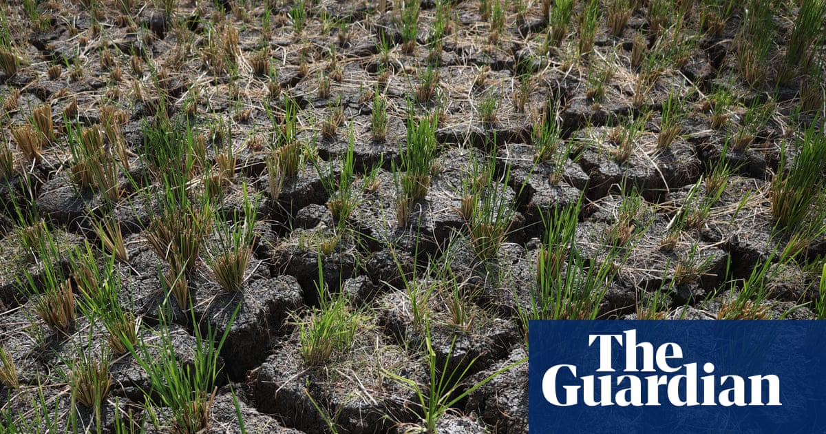 BoM forecasts strongest El Niño on record as research points to ‘alarming’ climate change influence | Australia news