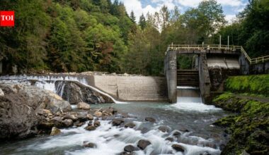 In 2020, the US removed 69 dams, reconnecting 624 miles of rivers and restoring habitat for salmon, steelhead and native fish species | World News