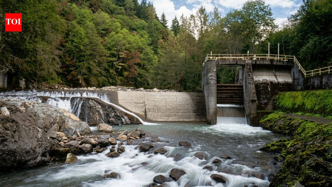 In 2020, the US removed 69 dams, reconnecting 624 miles of rivers and restoring habitat for salmon, steelhead and native fish species | World News