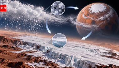 Mars winter turns carbon dioxide into snow and ice, cycling 25% of the atmosphere and changing circulation across the planet |
