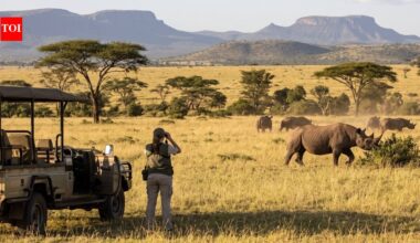 In 1983, rhino champion Anna Merz spent her savings to secure 5,000 Kenyan acres; the sanctuary she started grew into Lewa, now sheltering about 245 rhinos | World News