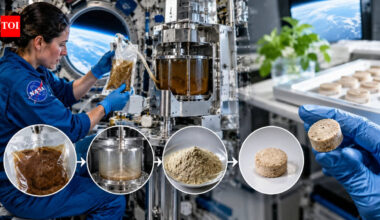 Nasa is testing a way to turn astronaut poop into a sterile, odour-free material that could be recycled |