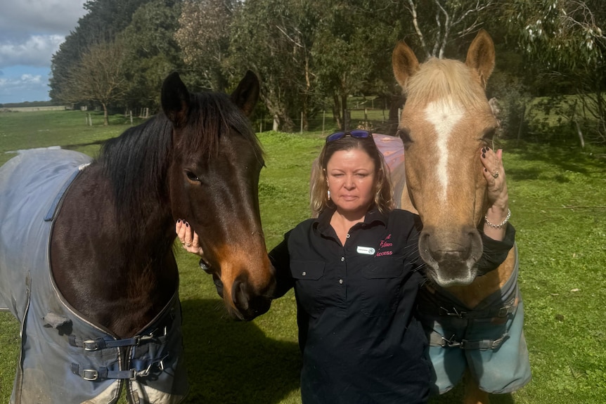 A woman stands between two horses while outside in a paddock.