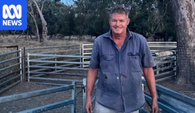Barambah Organics founder Ian Campbell and daughter Hannah die in plane crash