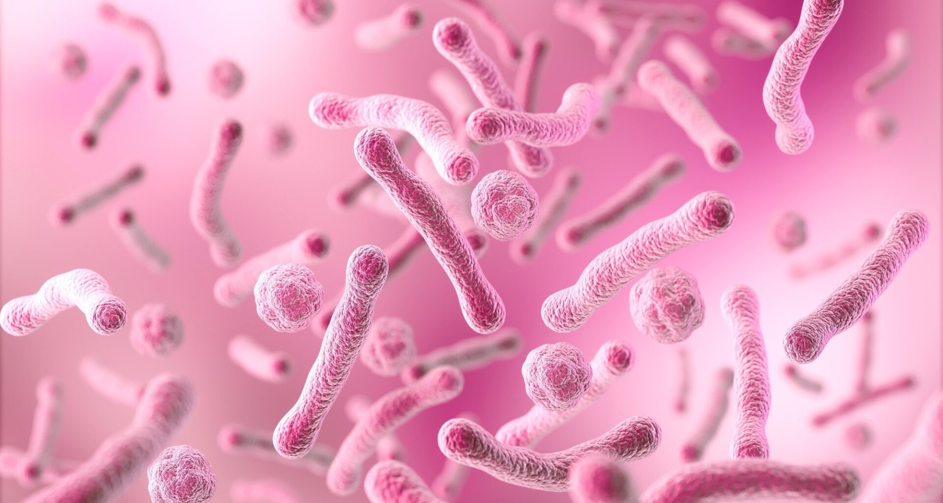 The vaginal microbiome may be an overlooked reservoir of antibiotic resistance