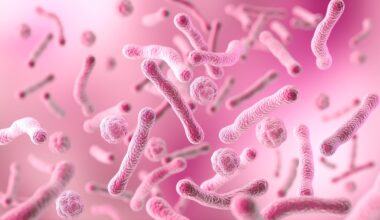 The vaginal microbiome may be an overlooked reservoir of antibiotic resistance