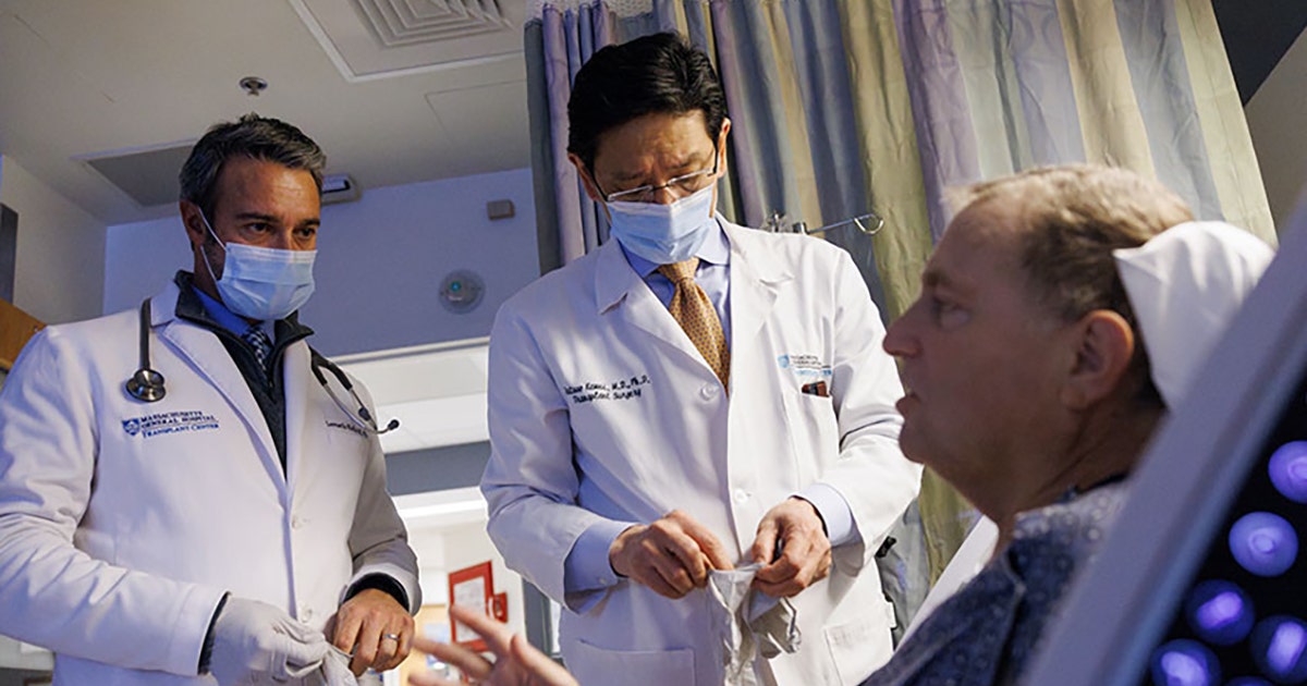 Pig kidney functions for record 271 days inside man awaiting human transplant