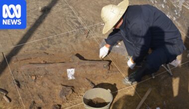 Trove of bones and tools from mysterious Denisovans uncovered in Chinese cave
