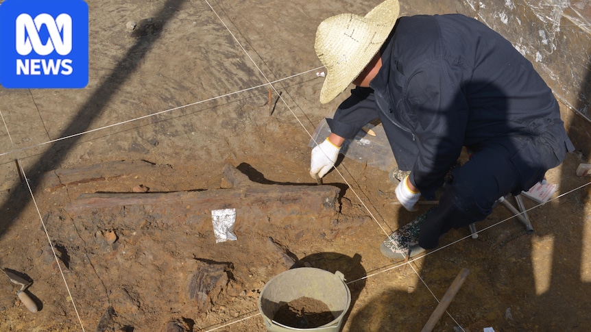 Trove of bones and tools from mysterious Denisovans uncovered in Chinese cave