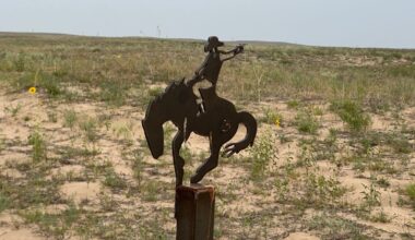 Rodeo Dunes
