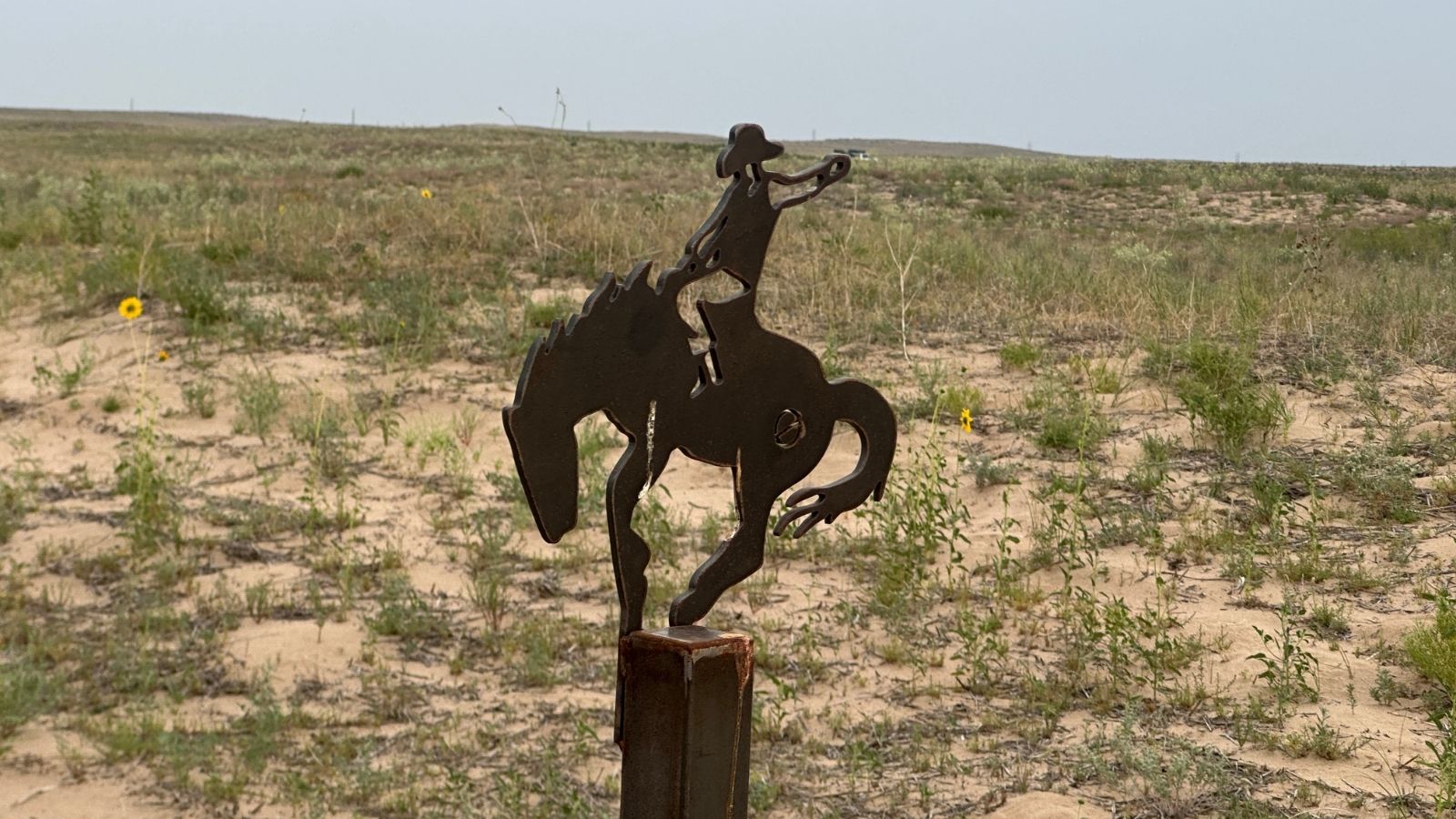 Rodeo Dunes
