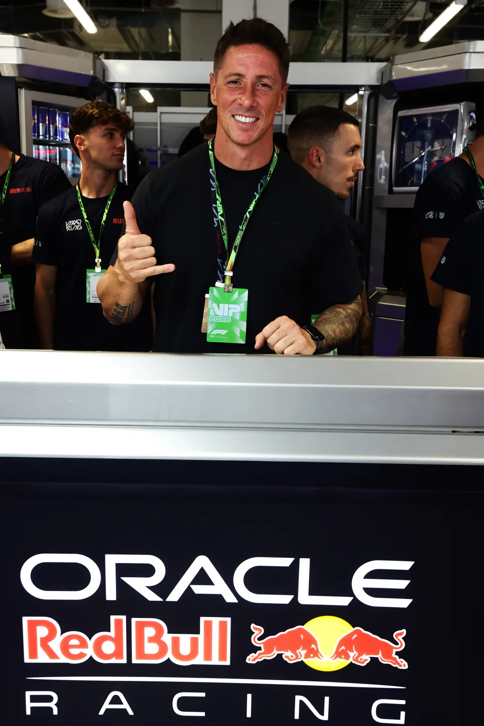 Fernando Torres, Former Soccer Player