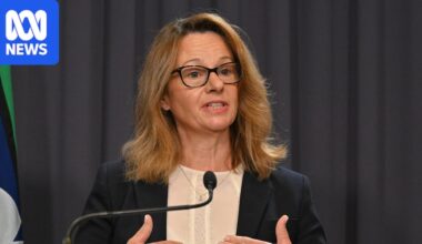 Australia needs an AI 'early warning system', top cybersecurity chief warns