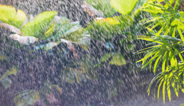 Australia’s ancient rainfall patterns more complex than previously believed – News