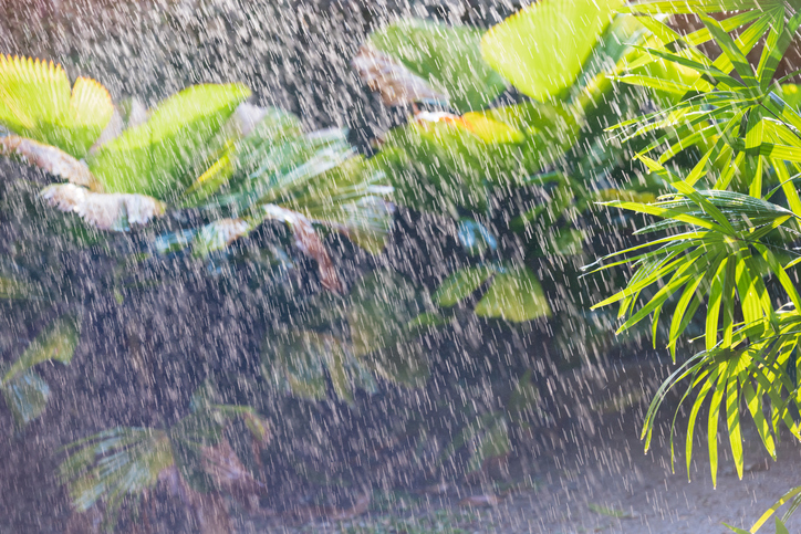Australia’s ancient rainfall patterns more complex than previously believed – News