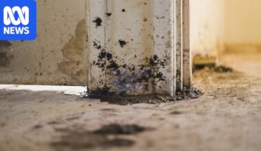 SA Housing Trust's four-year delay to remove mould from property 'unreasonable', ombudsman finds