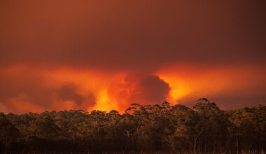 Out of control bushfire in Western Australia at sunset