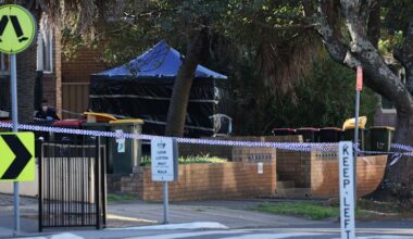 Auburn: mother of newborn baby dumped in Sydney rubbish bin found by police