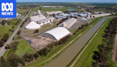 The rice industry is the 'backbone' of this small town, but it's struggling