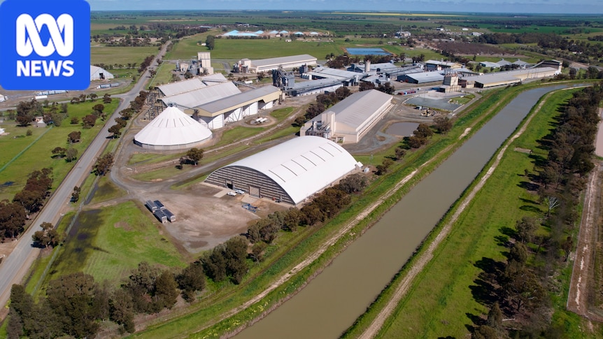 The rice industry is the 'backbone' of this small town, but it's struggling