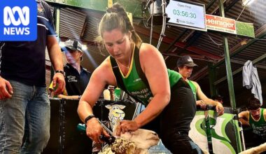 Nicki Guttler rewrites record books to win two open shearing titles