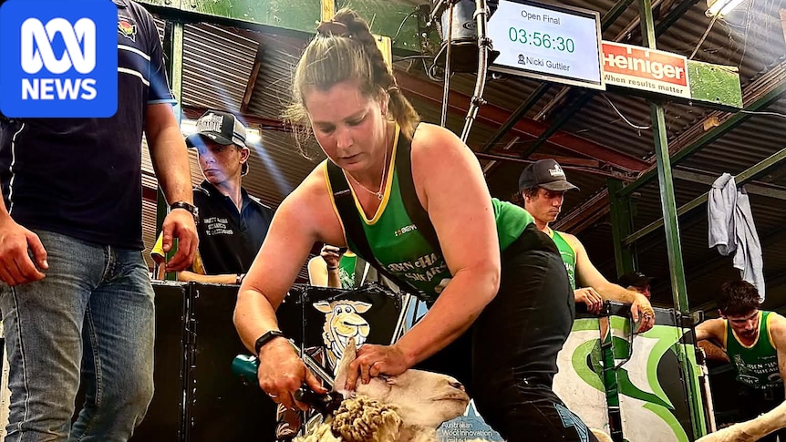 Nicki Guttler rewrites record books to win two open shearing titles