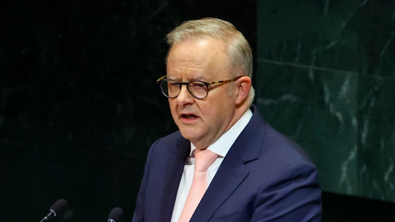 Australia Security Council bid: Albanese takes AI fight to UN