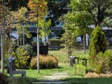 Daylight comparison, telephoto camera (10x): Pixel 11 - 223mm, f/3.0, ISO 56, 1/502s (4000x3000px) - News 26 09 Google Pixel 11 vs. 11 Pro review