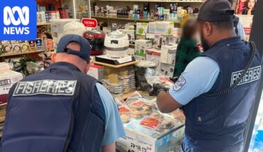 Australia loses millions per year to illegal fishing, the crackdown is now on as authorities crush businesses and boats