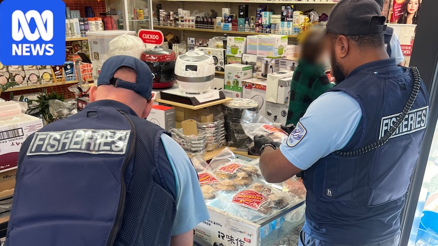 Australia loses millions per year to illegal fishing, the crackdown is now on as authorities crush businesses and boats